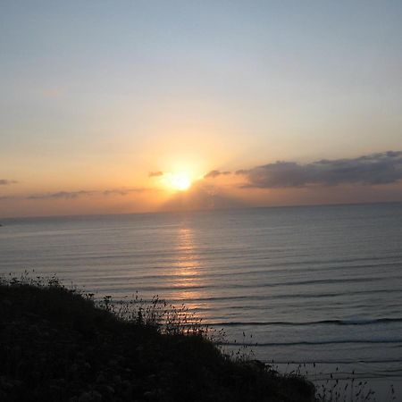 Jasmine House Bed and Breakfast New Quay Exteriör bild