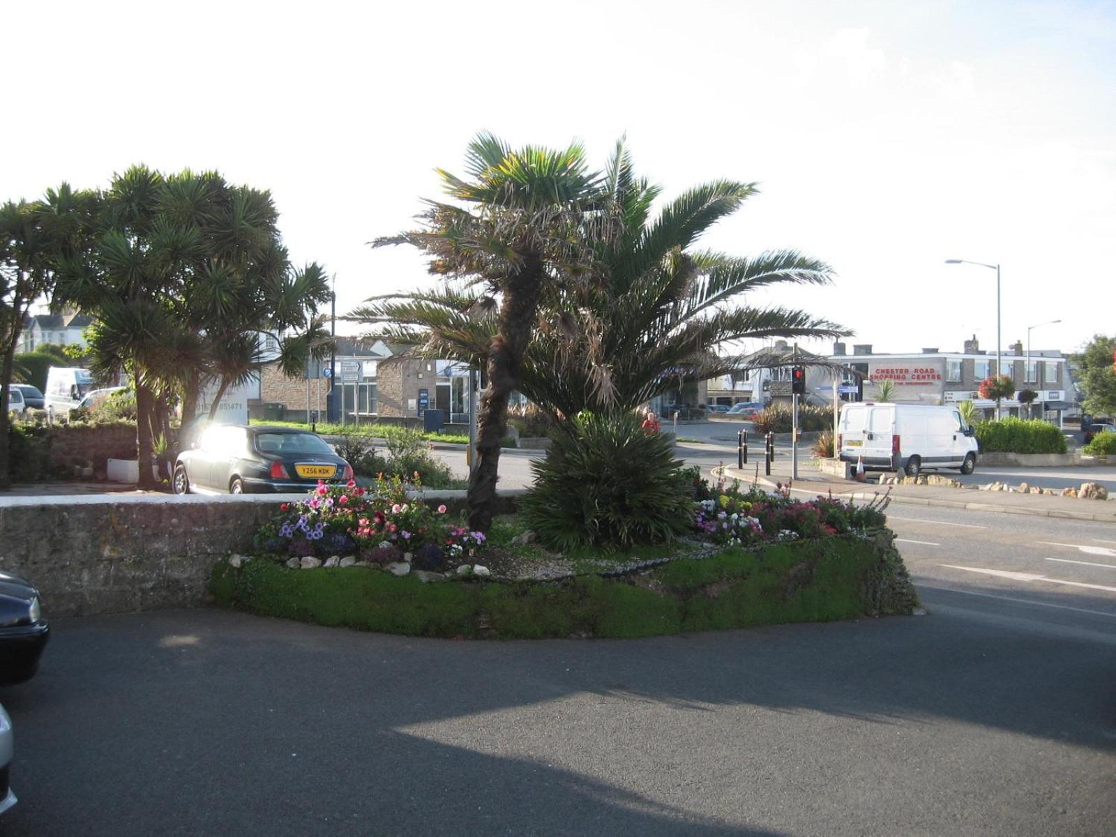 Jasmine House Bed and Breakfast New Quay Exteriör bild