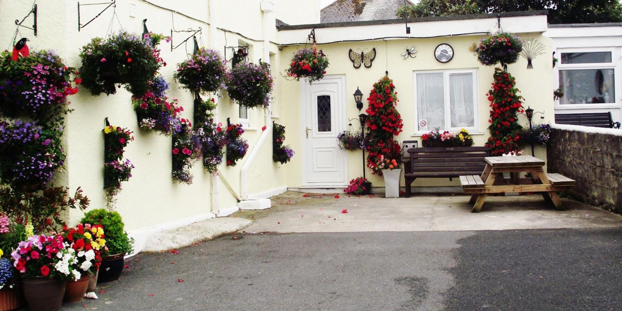 Jasmine House Bed and Breakfast New Quay Exteriör bild